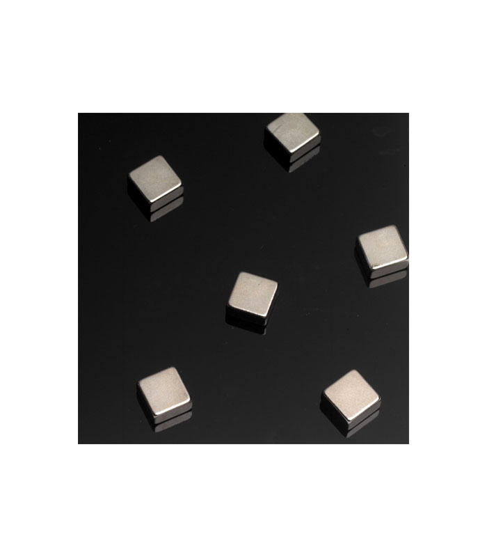 Pochette de 6 aimants 10x10x5mm - NAGA