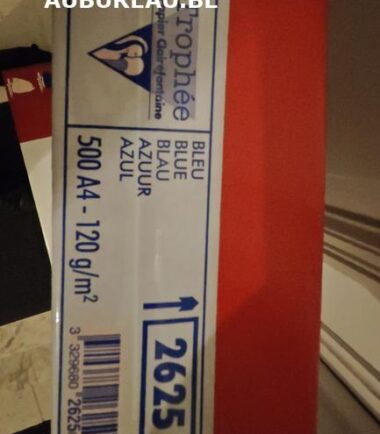 Rames de 500 feuilles 120gr A4 coloris bleu