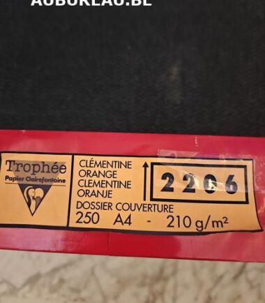 Rames de 250 feuilles 210gr A4 coloris clémentine