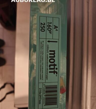 Rames de 250 feuilles 160gr A4 coloris vert menthe