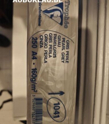 Rames de 250 feuilles 160gr A4 coloris gris perle