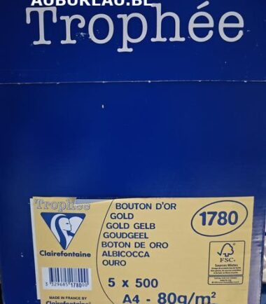 Boite 5 rames de 500 feuilles 80gr A4 coloris bouton d'or