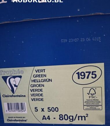 Boite 5 rames de 500 feuilles 80gr A4 coloris vert