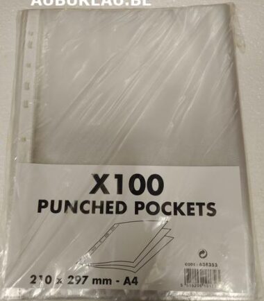 Bte de 100 pochettes perforées 50 microns - grainé