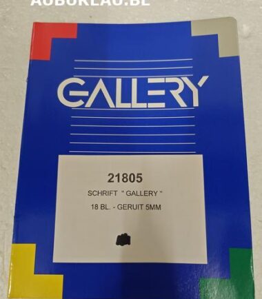 Cahier quadrillé 21805