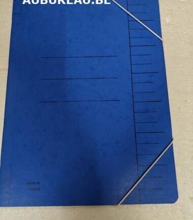 ESSELTE-Trieur Esselte avec élastique