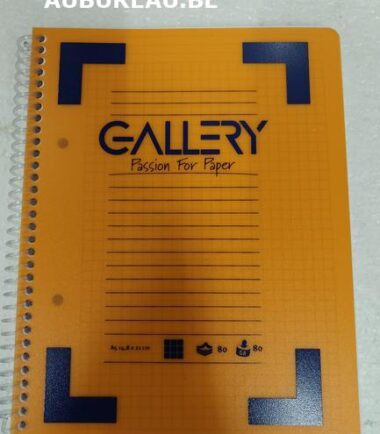 GALLERY-Cahier à spirale A5 quadrillé