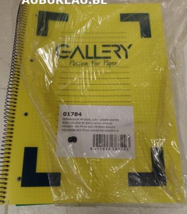 BLOC COLLEGE PP 80FLS quadrillé - 4TROUS réf. 01784