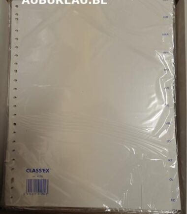 Jeu d'intercalaires de Janvier à décembre Classex réf 412N