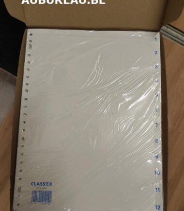 Jeu d'intercalaires de 12 Classex réf 412A4