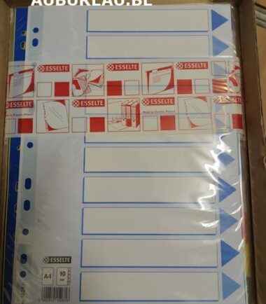 Jeu d'intercalaires de 10 Esselte réf 15261