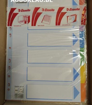 Jeu d'intercalaires de 6 Esselte réf 100192