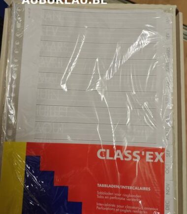 Jeu d'intercalaires de JANV/DEC Classex réf 14012F