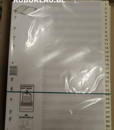 Jeu d'intercalaires de 1/31 Durable réf 6160