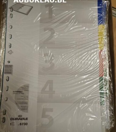 Jeu d'intercalaires de 5 Durable réf 6730