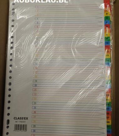 Jeu d'intercalaires de 1/31 Classex réf 1702331