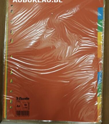 Jeu d'intercalaires de 10 Esselte réf 100201