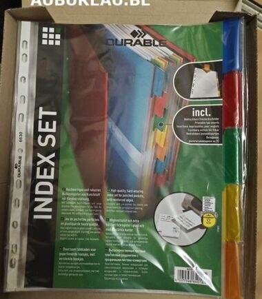 Jeu d'intercalaires de 5 Durable réf 6630-19